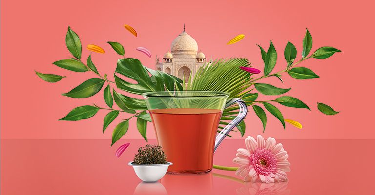 Good Morning Sunshine