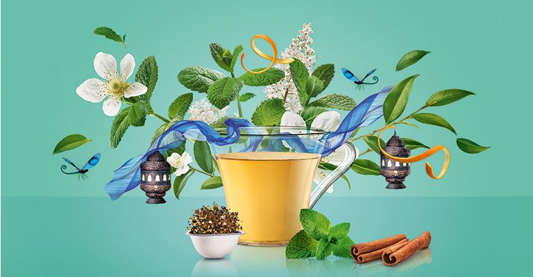 Mint Marrakech Style