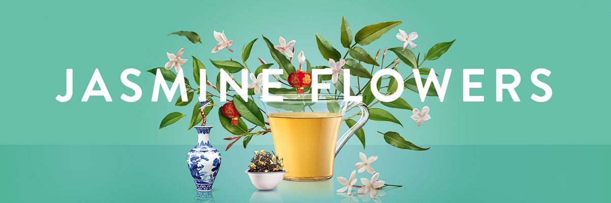 Jasmine Flowers