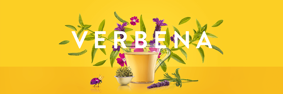 Verbena