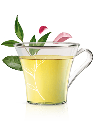 GR&Uuml;NER TEE
